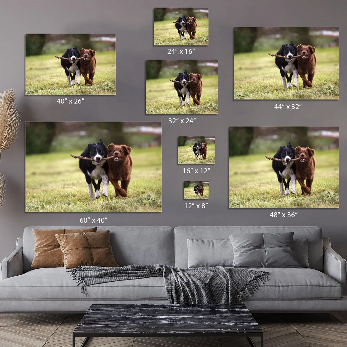 2 border collie dogs fetching a stick in open field Canvas Print or Poster