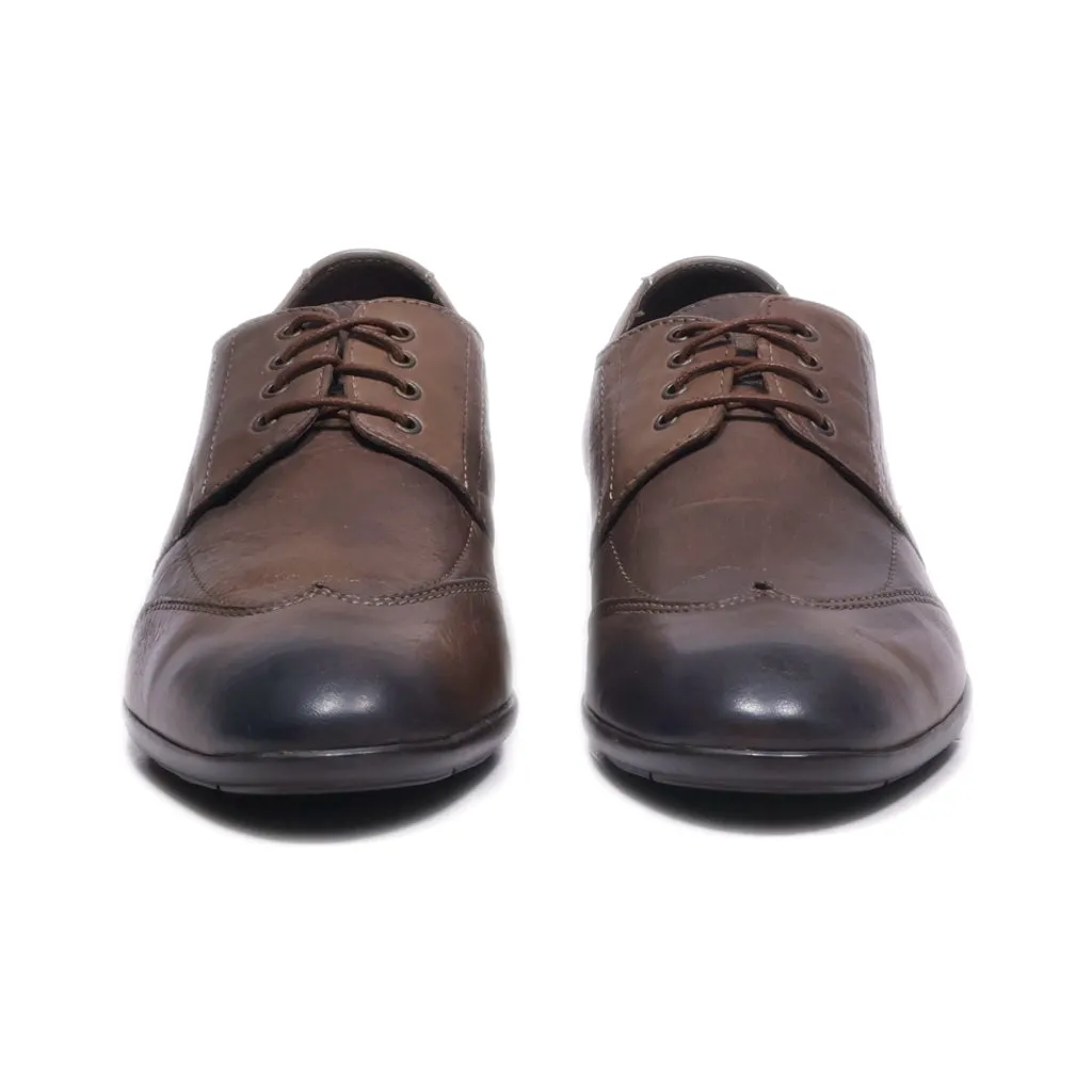 Andre Formal Lace Ups Canvas Brown Colour For Men