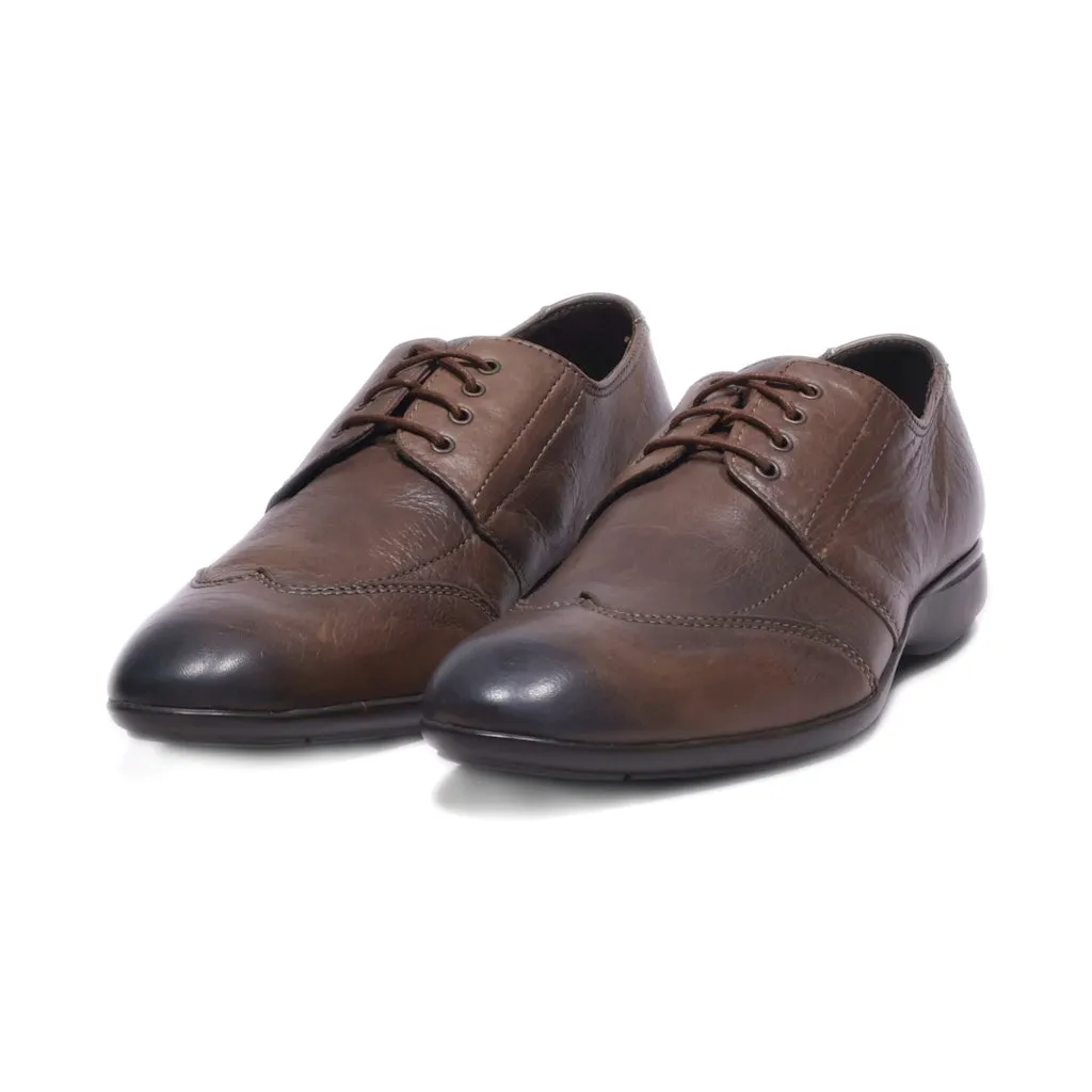 Andre Formal Lace Ups Canvas Brown Colour For Men