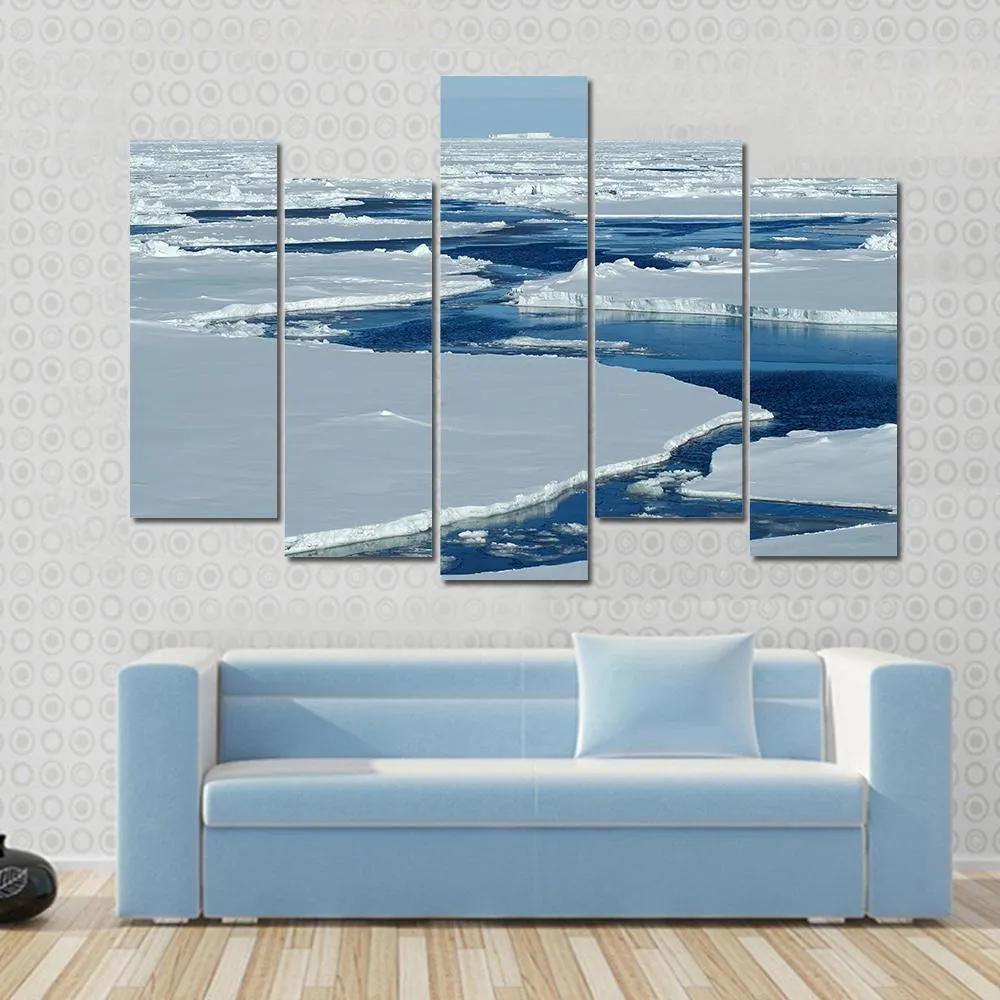 Antarctic Pack Ice Canvas Wall Art