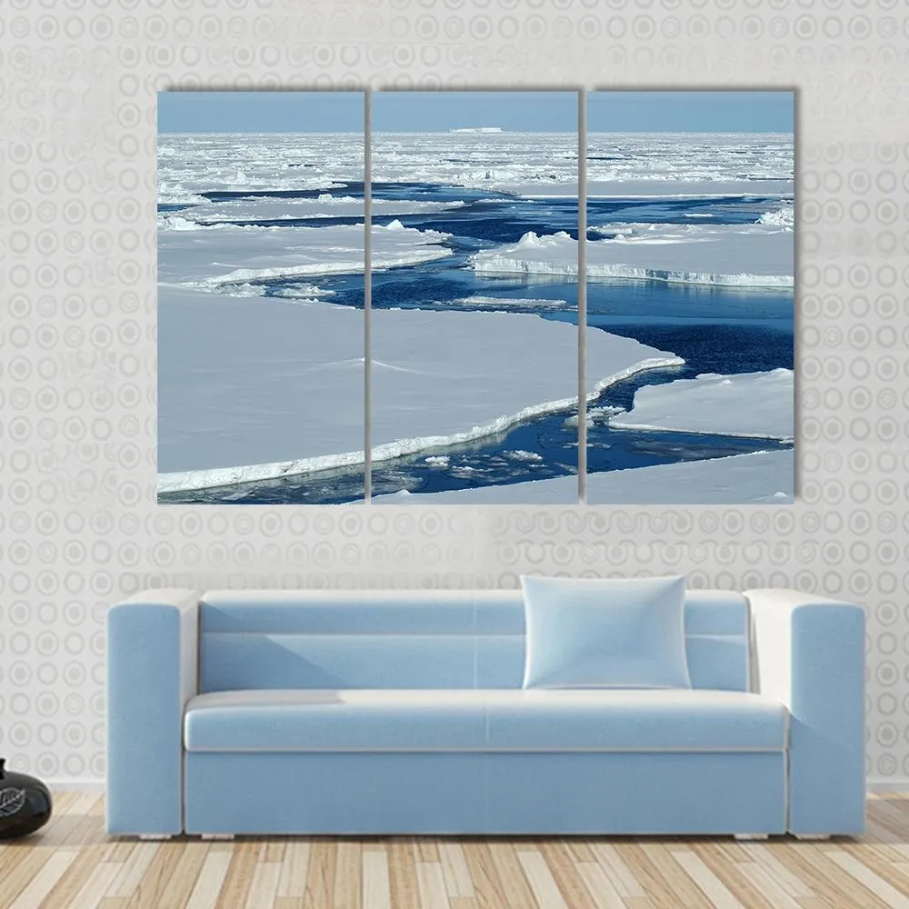 Antarctic Pack Ice Canvas Wall Art