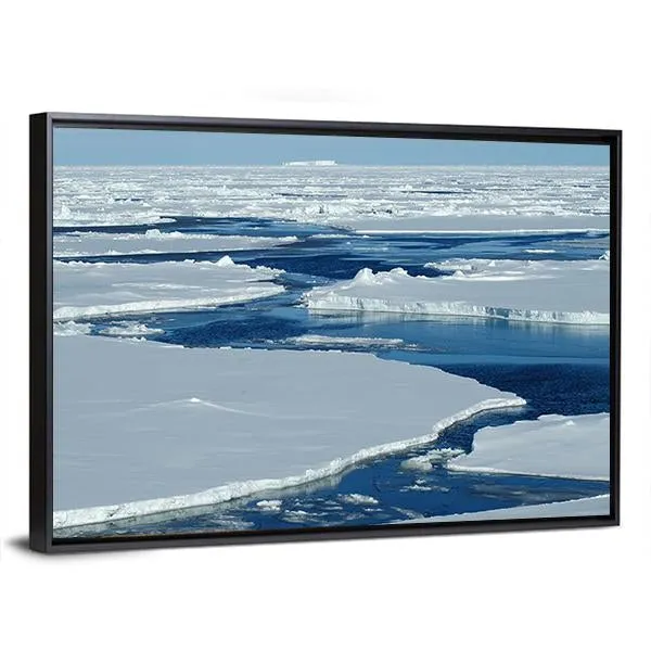 Antarctic Pack Ice Canvas Wall Art