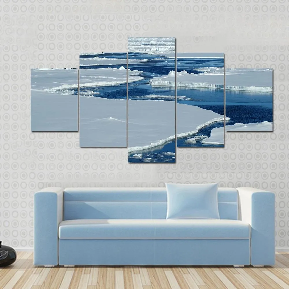 Antarctic Pack Ice Canvas Wall Art