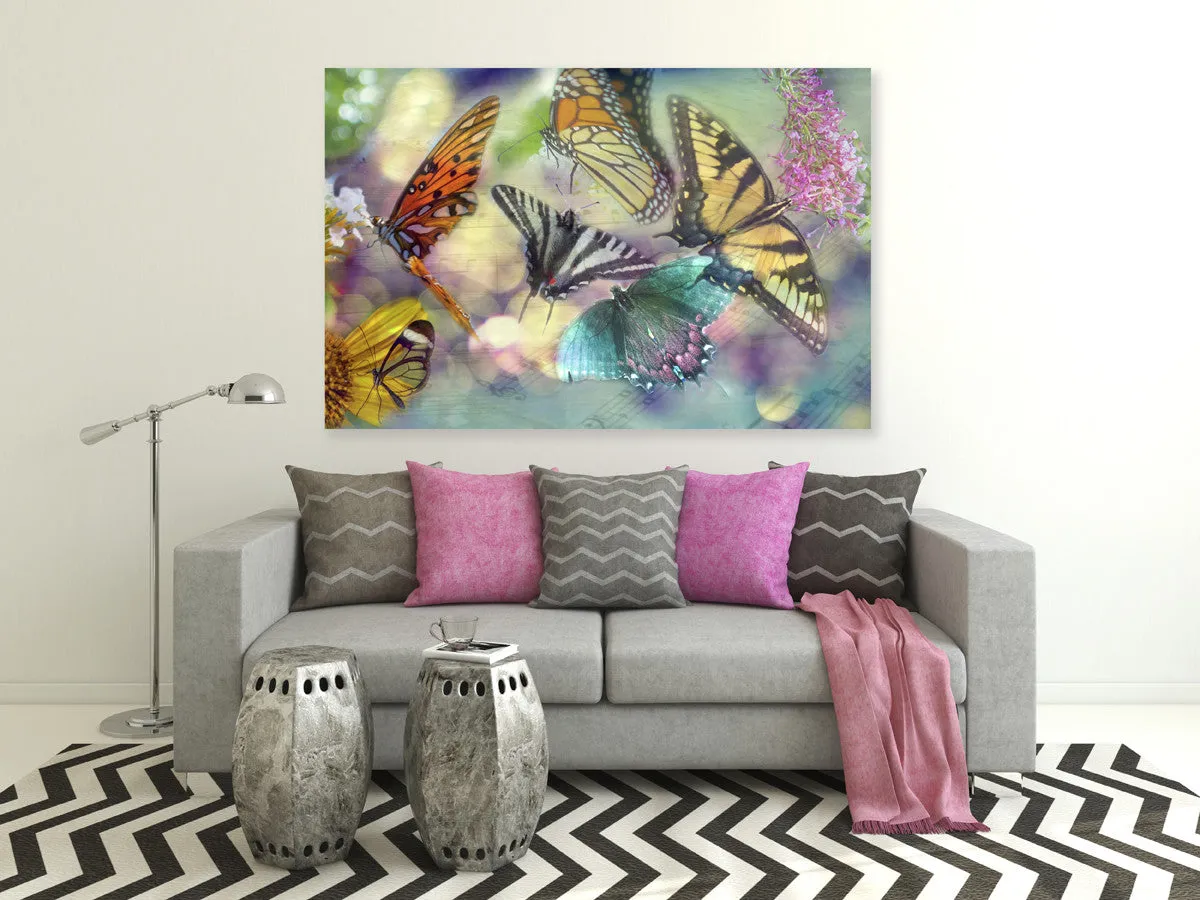 Butterfly Dance Canvas