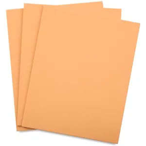 Cantone Canvas Panels Georgia Peach 9in x 12in Pack of 3