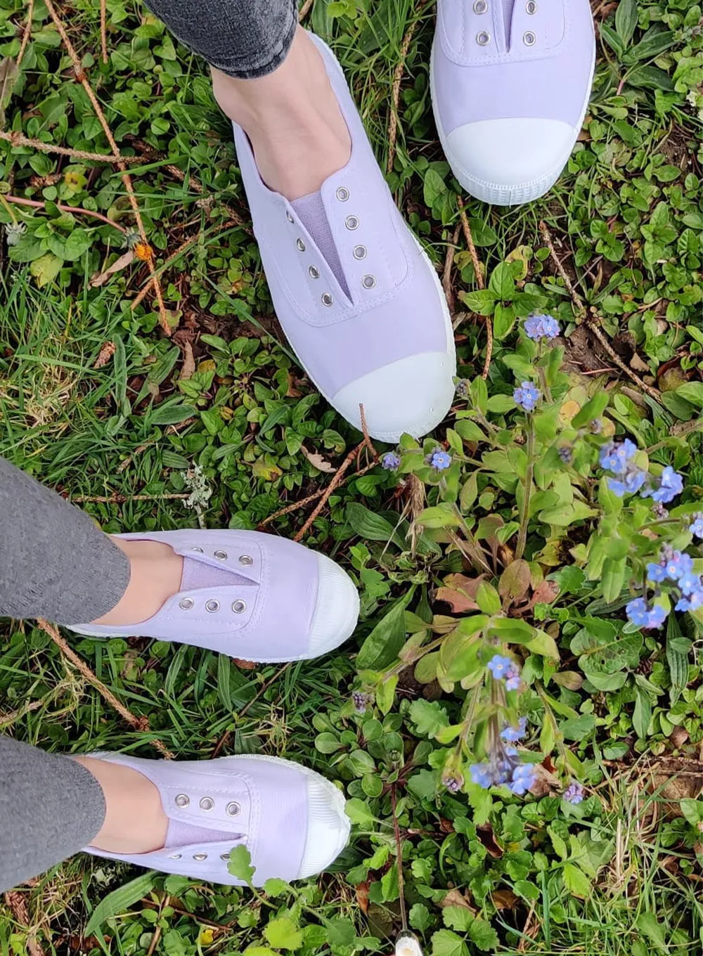 Hampton Canvas Plum Plimsolls in Lilac