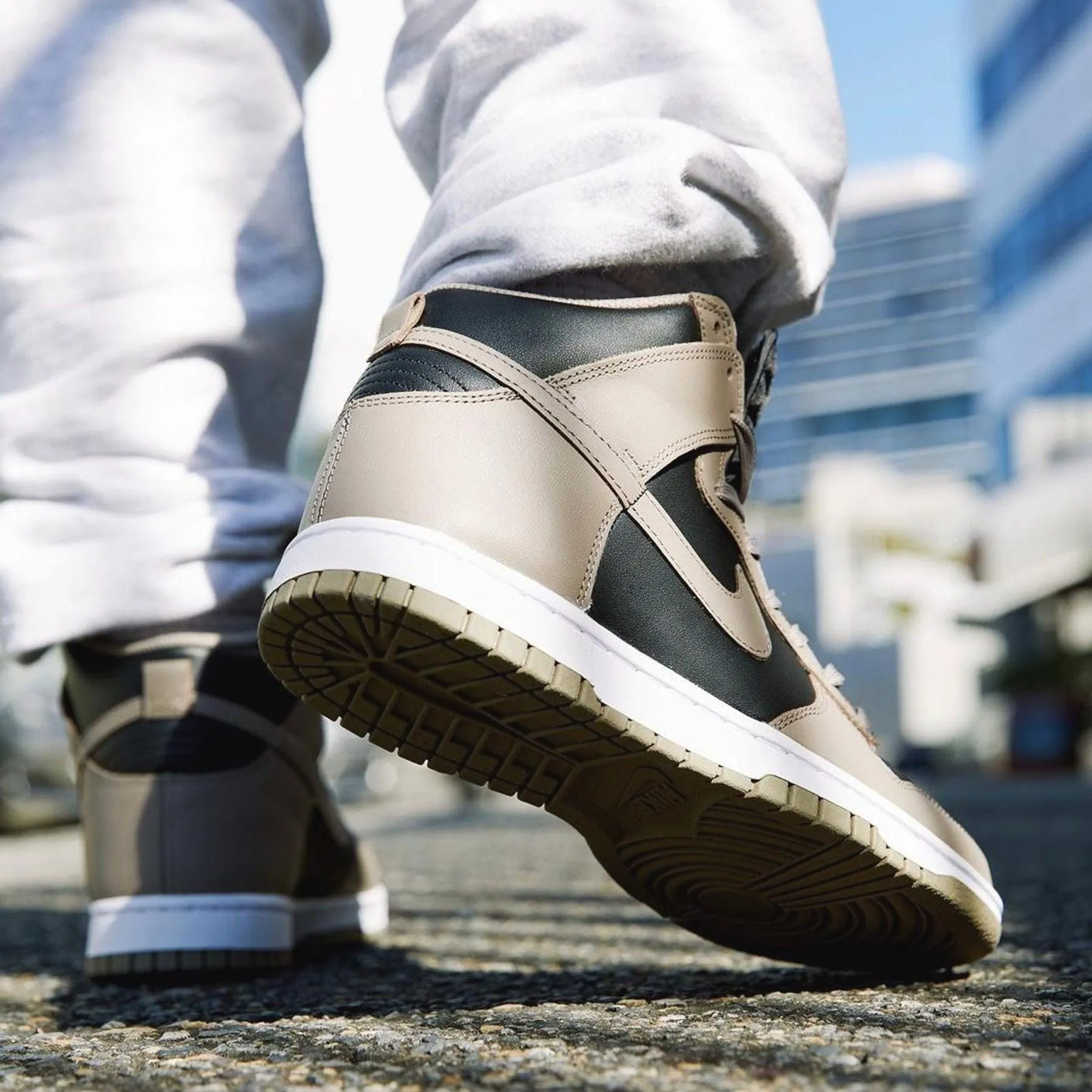 Nike Dunk High Wmns 'Moon Fossil'