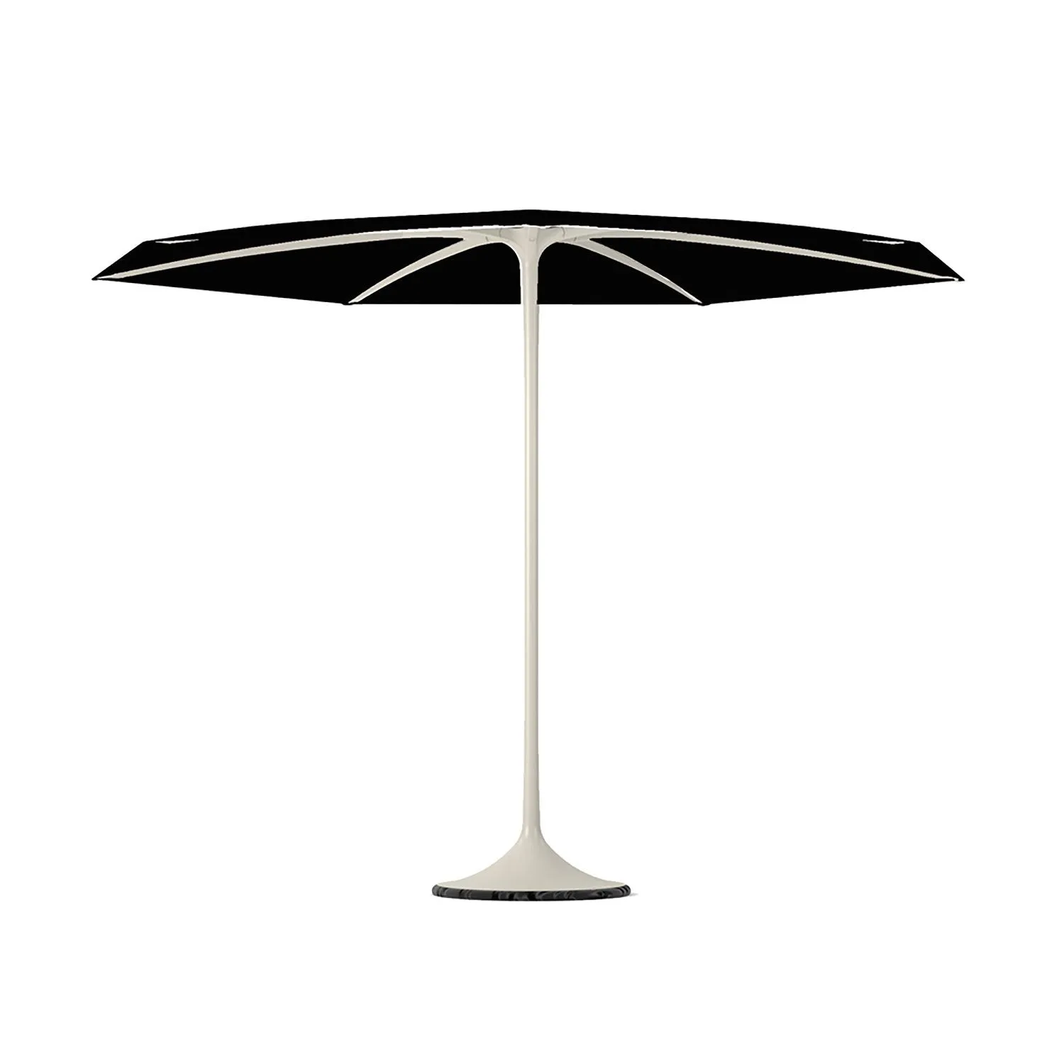 Palma Parasol