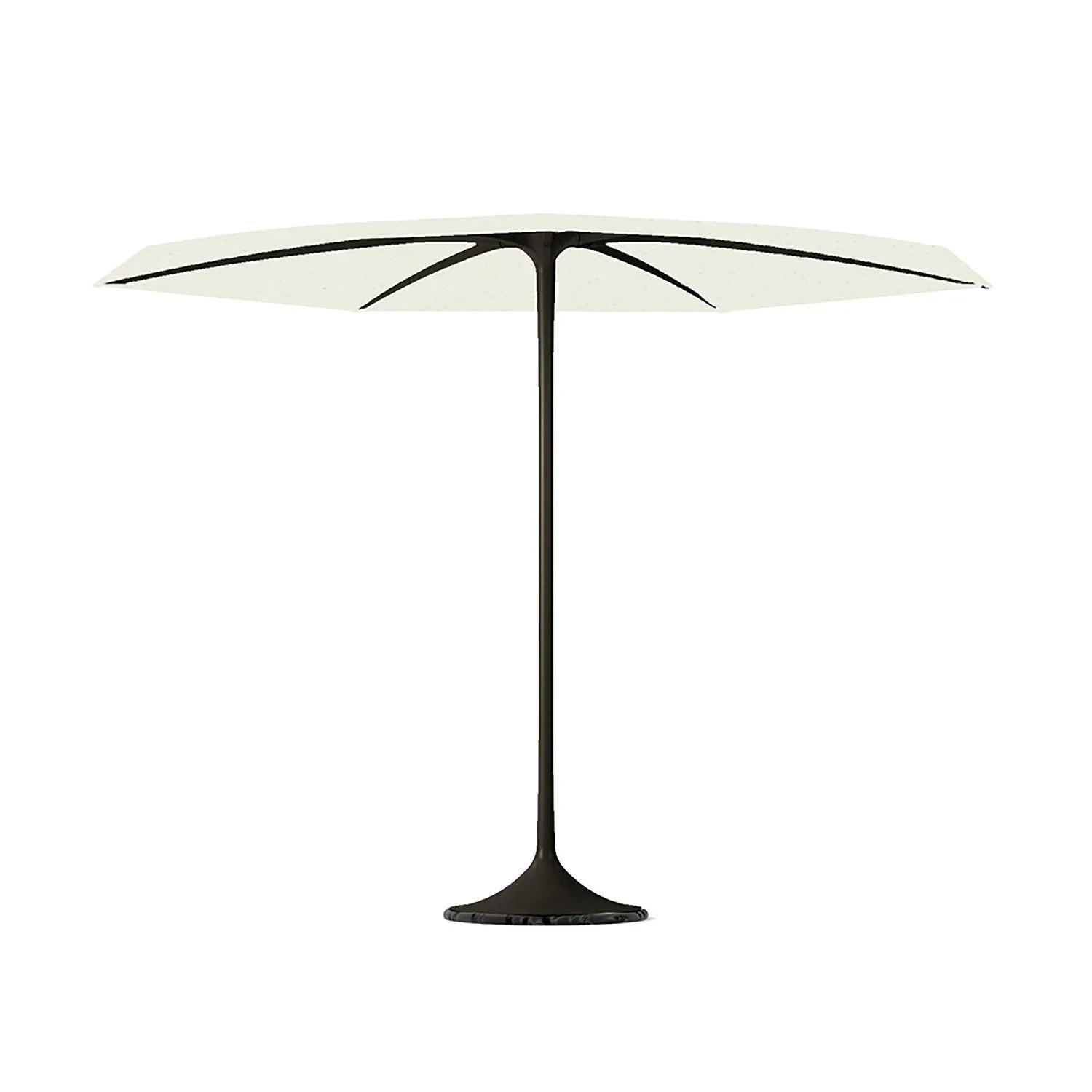 Palma Parasol