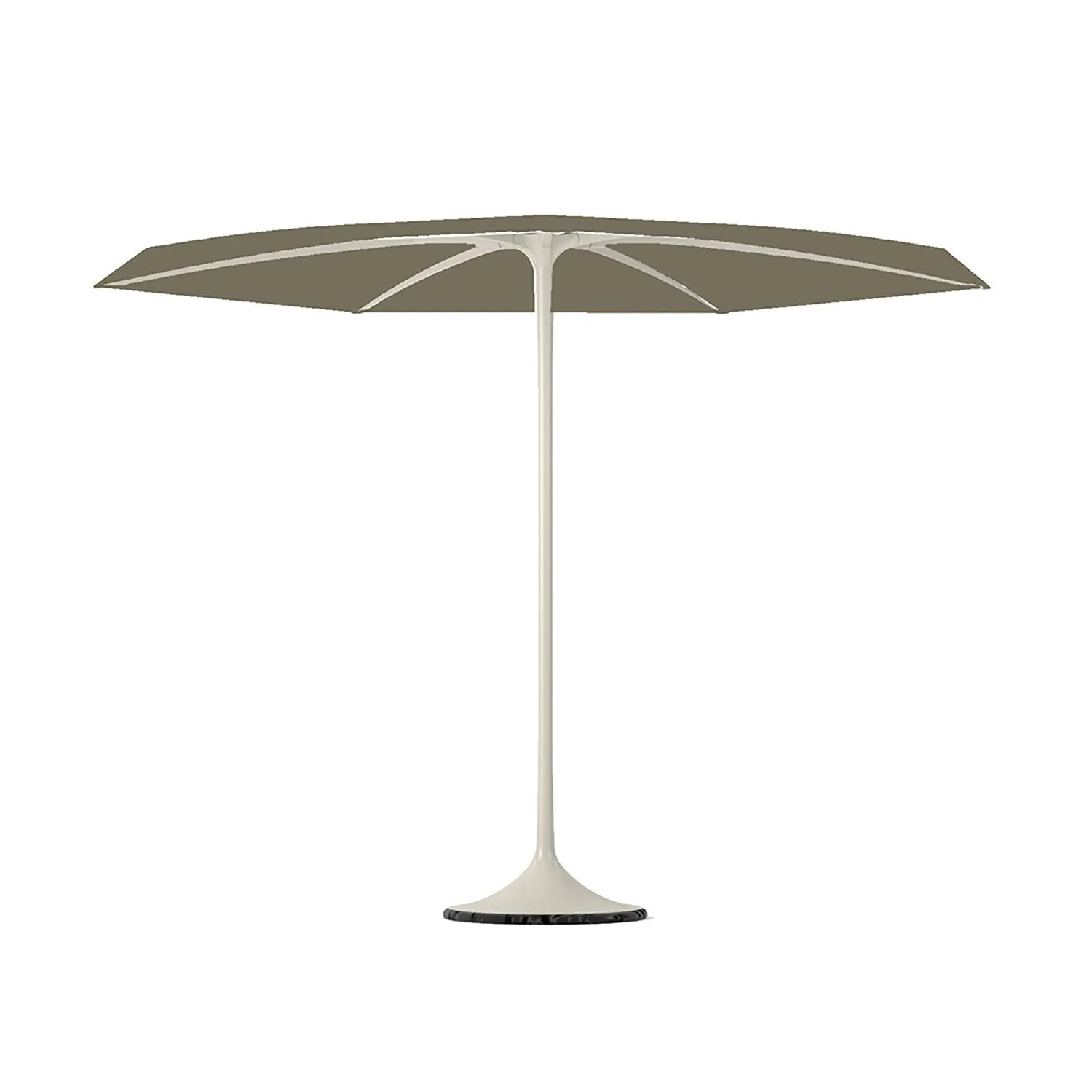 Palma Parasol