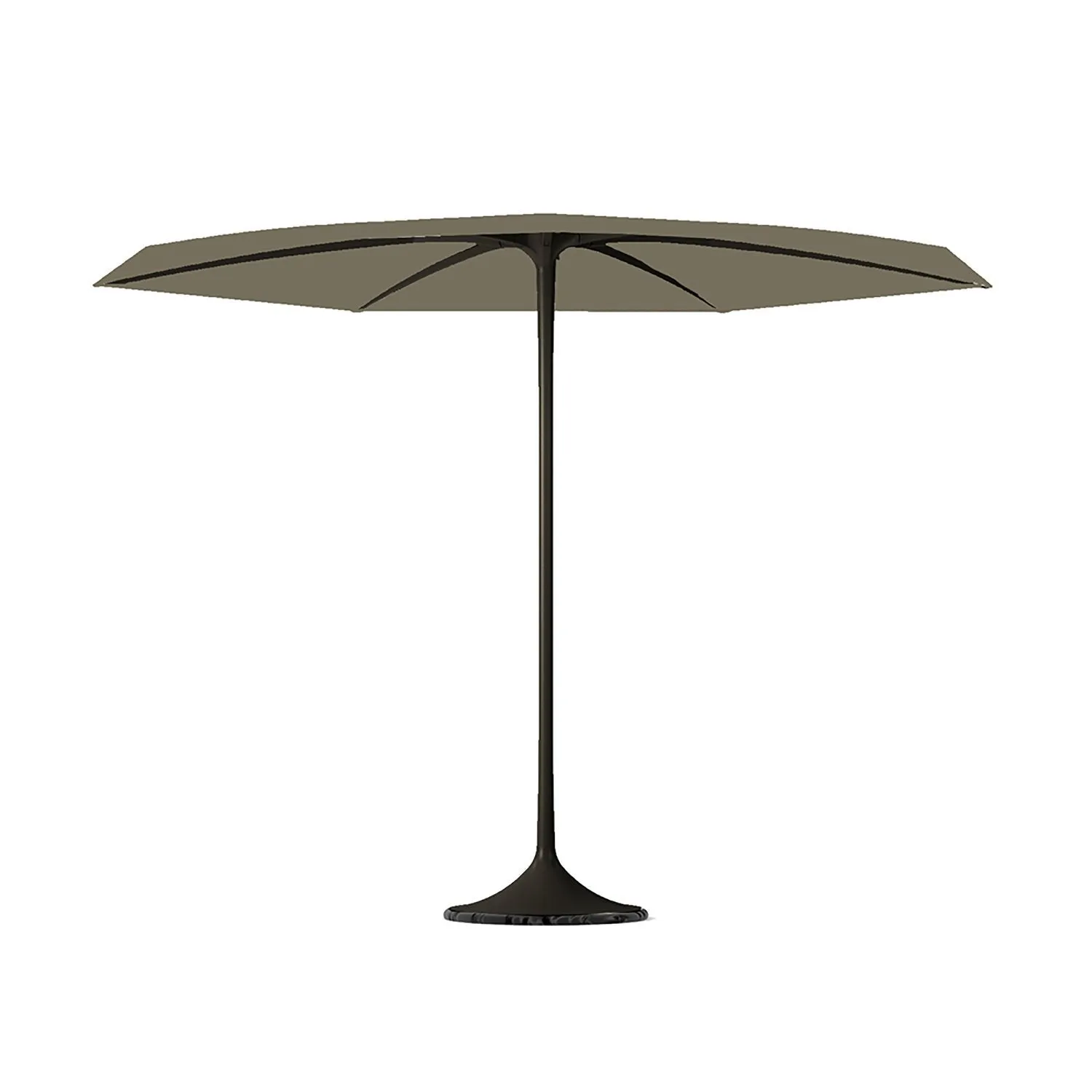 Palma Parasol