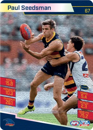 Paul Seedsman, Canvas, 2022 Teamcoach AFL